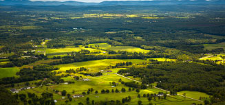 Hudson green forests image